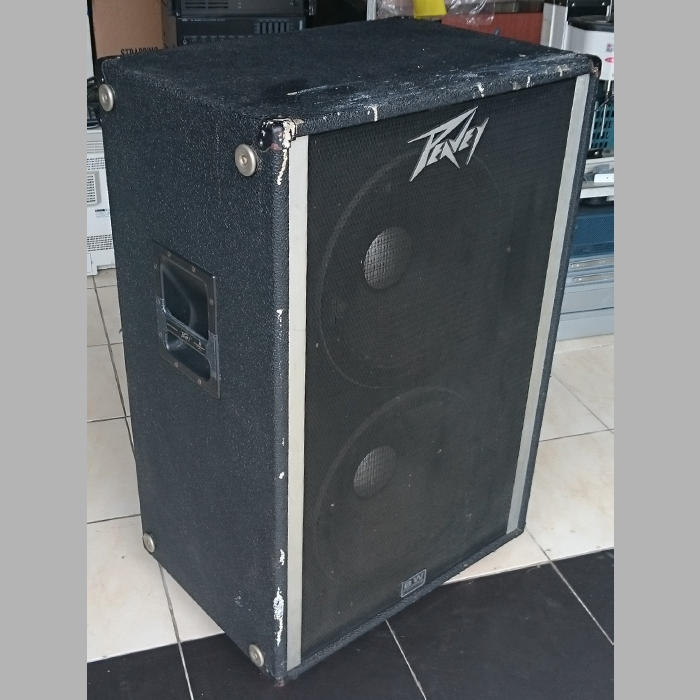 모닝힐 Morninghill 모닝힐 중고 Peavey 215d Bw 피베이 15인치 600w 듀얼 서브우퍼 스피커 1763